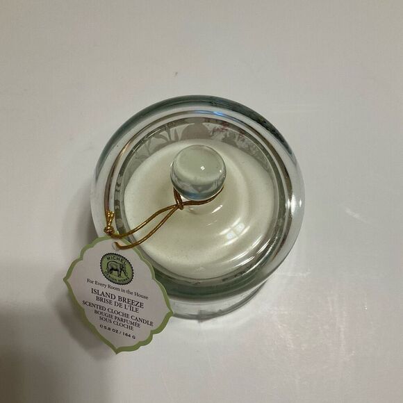 Michel Design Works Island Breeze Cloche Candle. NWT. Sealed. Tropical green gin - Picture 3 of 12